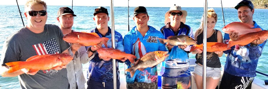 Deluxe Private Fishing Charters in 1770 and Agnes Water