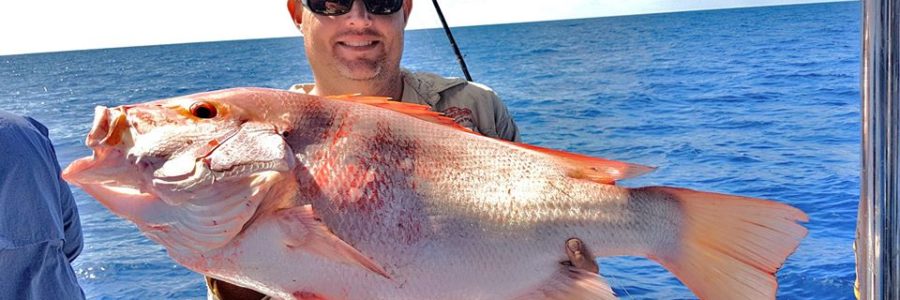 Boyne Island Hookup fishing with Reef Fish and Dive 1770